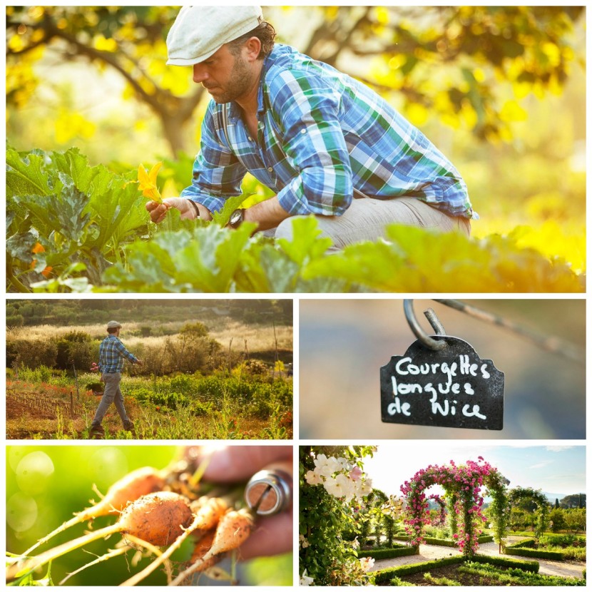 Potager Hostellerie Berard