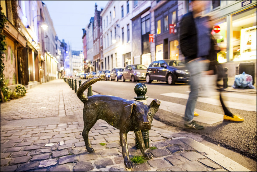 Best of Brussels, un livre souvenir de la capitale Belge, Bruxelles, édité par Racine avec les photographies du d'Eric Danhier.