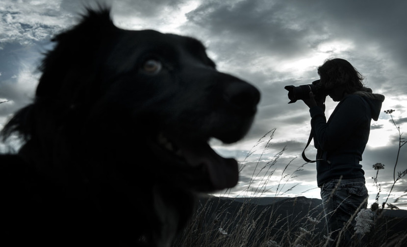 Photo d'un photographe à contre jour pour un concours photo