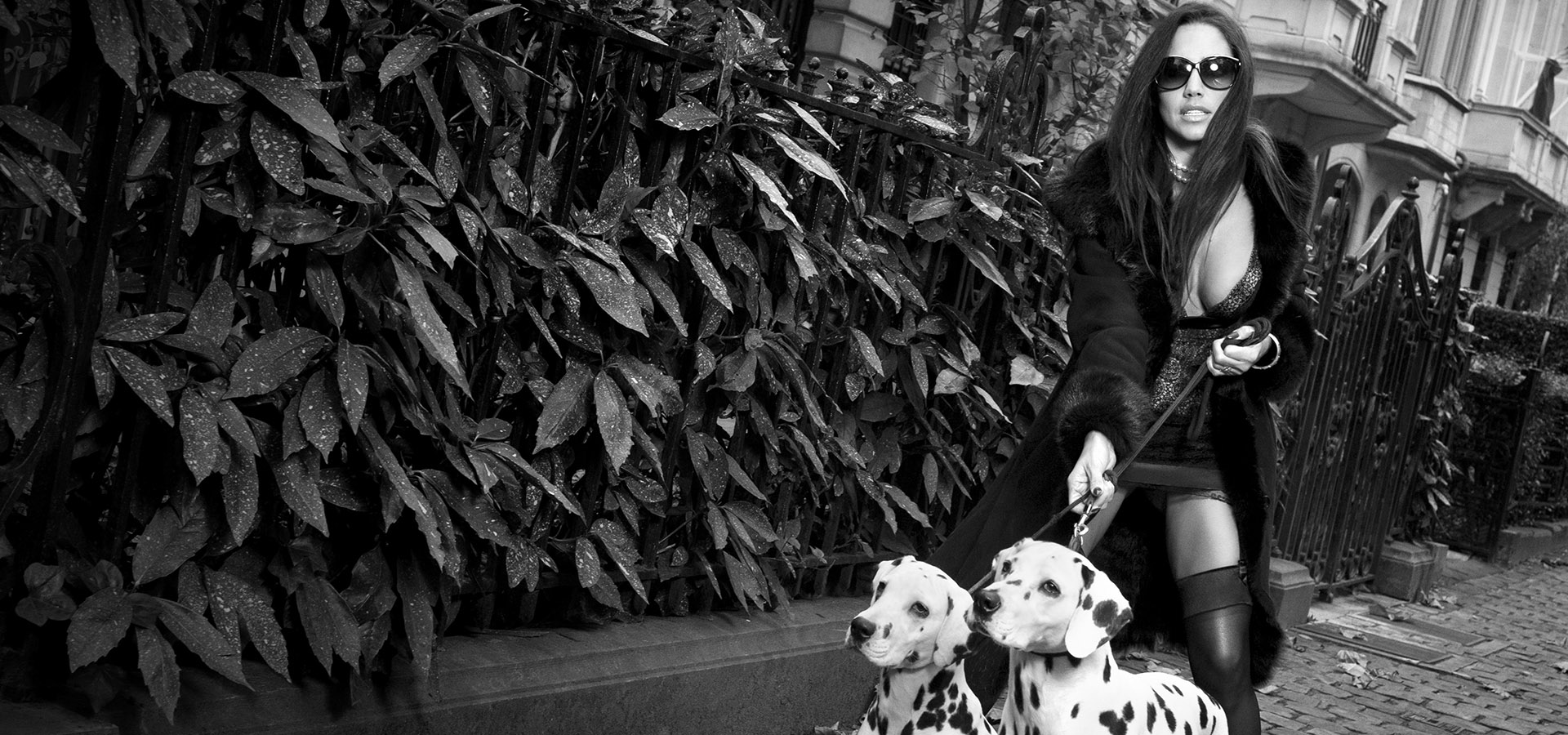 Home caro 1077 1920x900