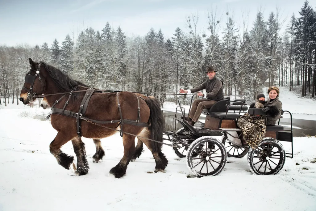 Armelle Gysen et son fils en calèche tirée par des chevaux ardennais sous la neige au Château de Ry.